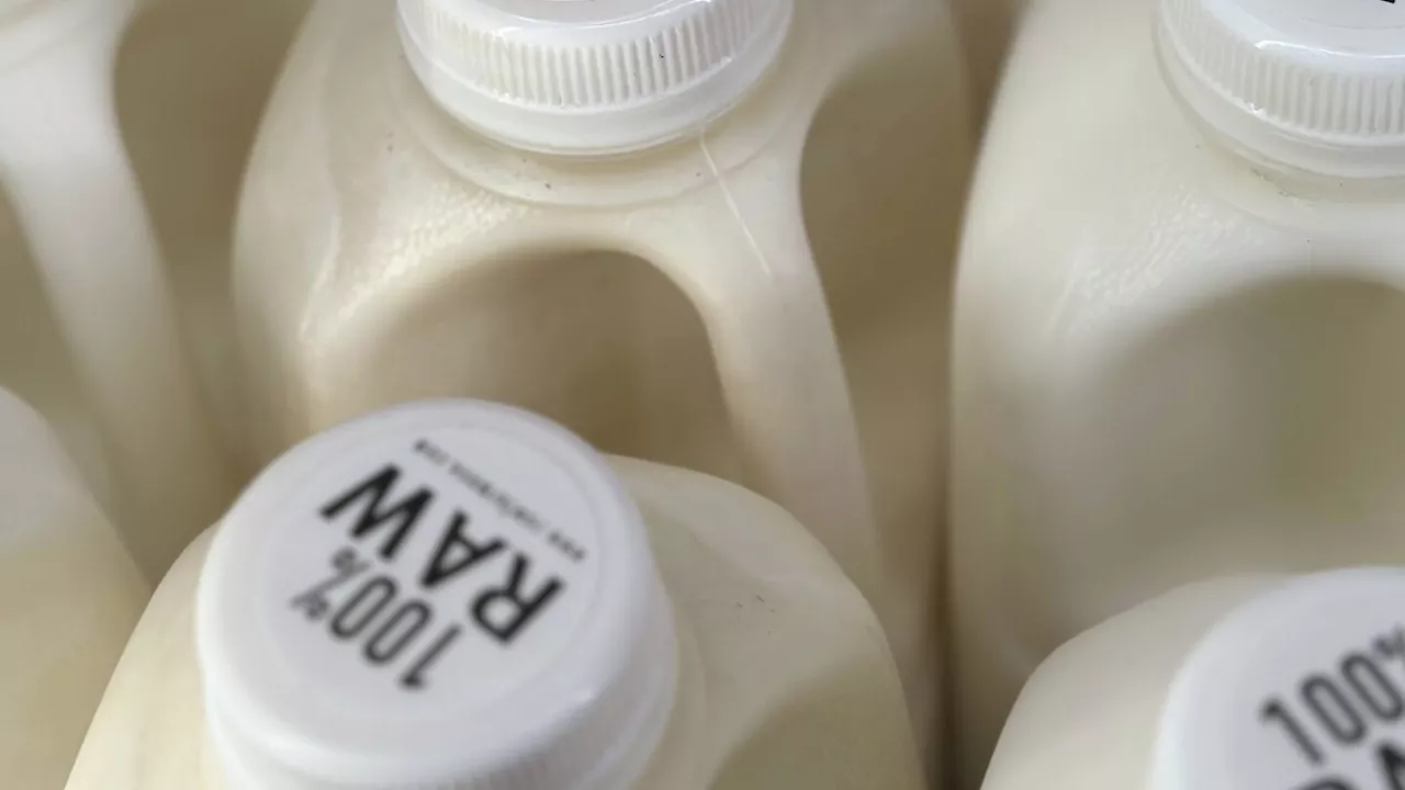 Raw milk recall in California expands after more bird flu virus detected