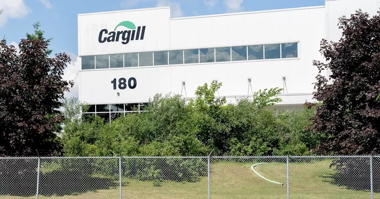 Cargill Confirms Global Layoffs, Affecting Up to 8,000 Jobs Business