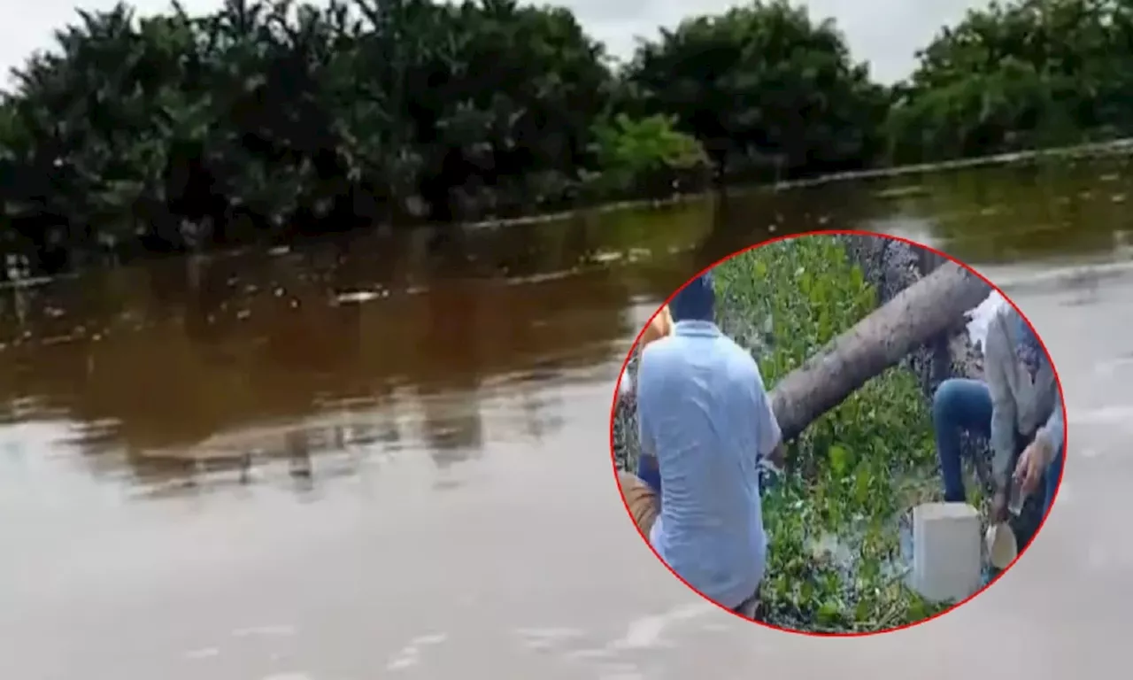 Presencia de Mancha de Hidrocarburo en la Ciénaga San Silvestre