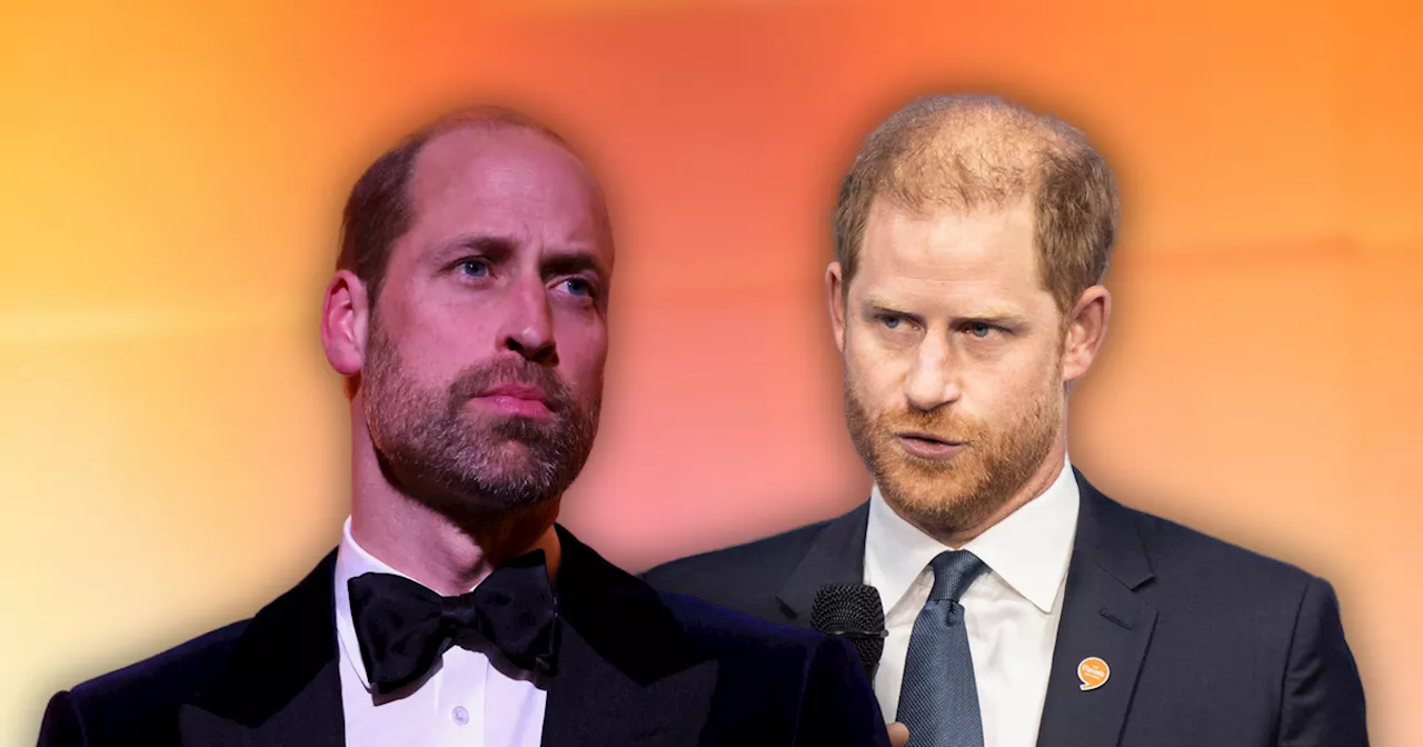 Beim 'Diana Award' machen Prinz William und Prinz Harry getrennte Sache