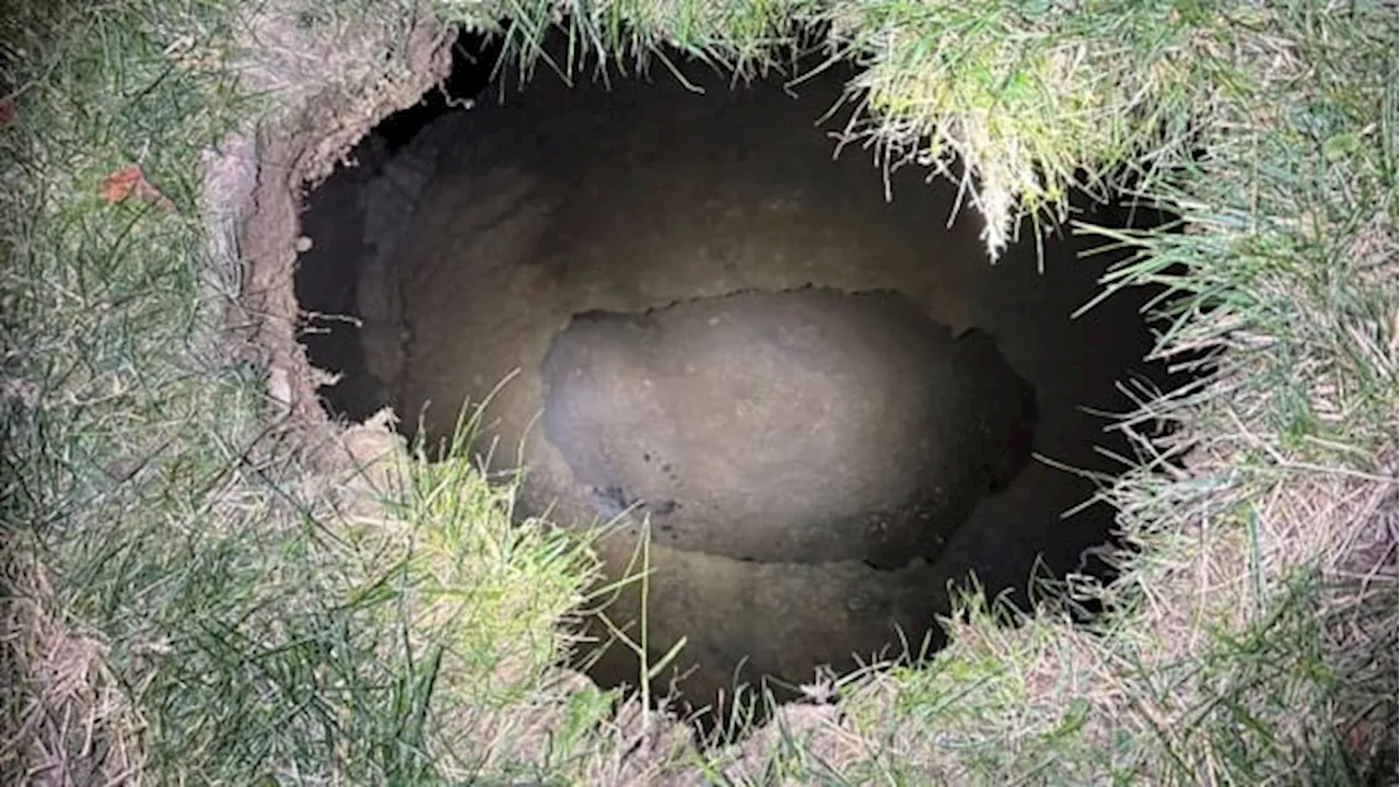 Pennsylvania grandmother looking for cat is believed to have fallen into 9-metre-deep sinkhole