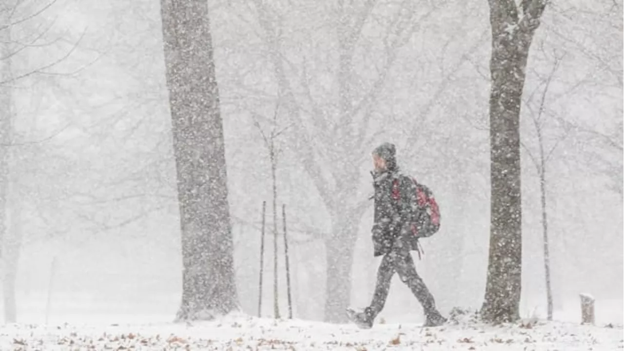 Snow squall watch, travel advisory for Kingston area Wednesday