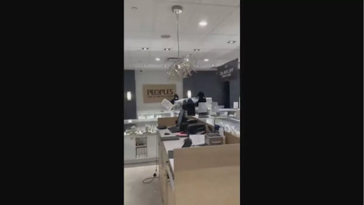 York Regional Police Seek Five Suspects in Smash-and-Grab Jewelry Store Robbery