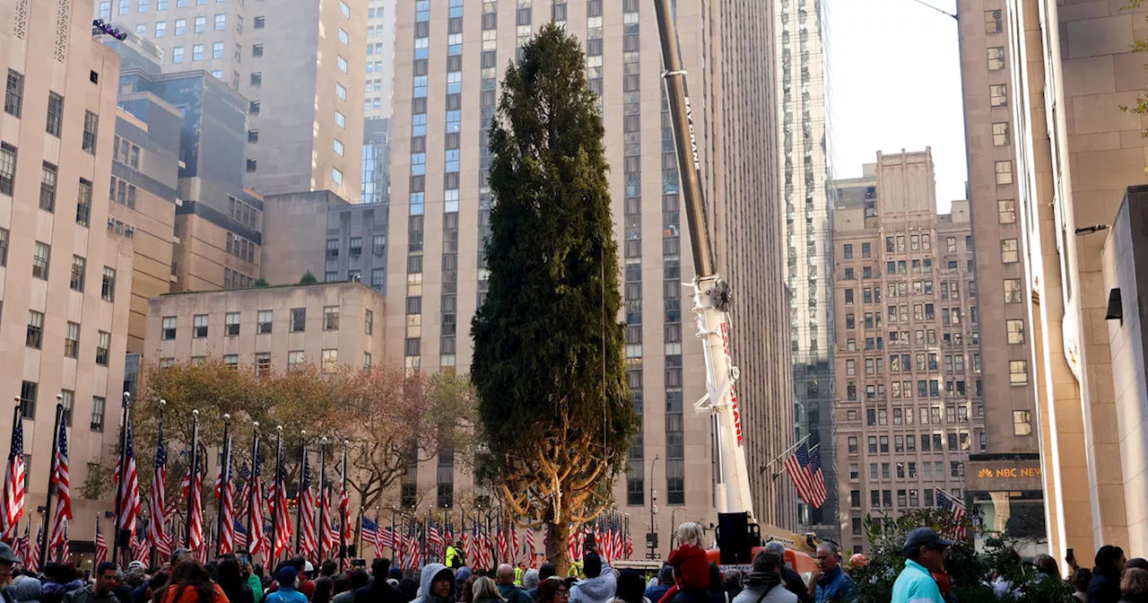 Rockefeller Center tree lighting is happening tonight in NYC. Here's what to know.