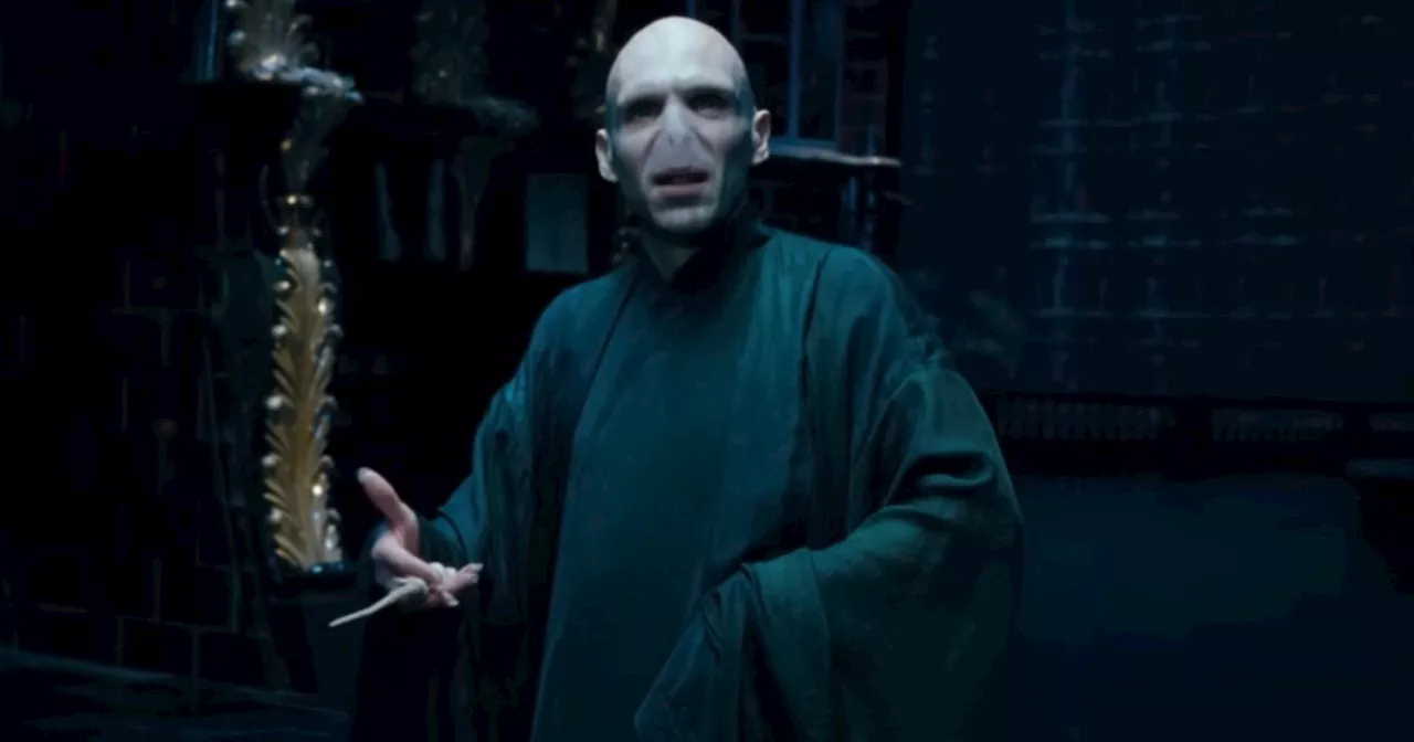 Ralph Fiennes Supports Cillian Murphy for Voldemort Role in Harry Potter TV Series