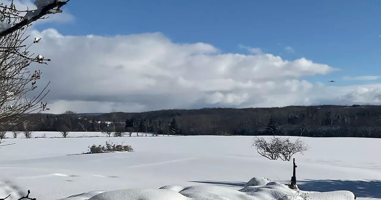 Ontario communities hit by weekend storm should brace for more snow: Environment Canada