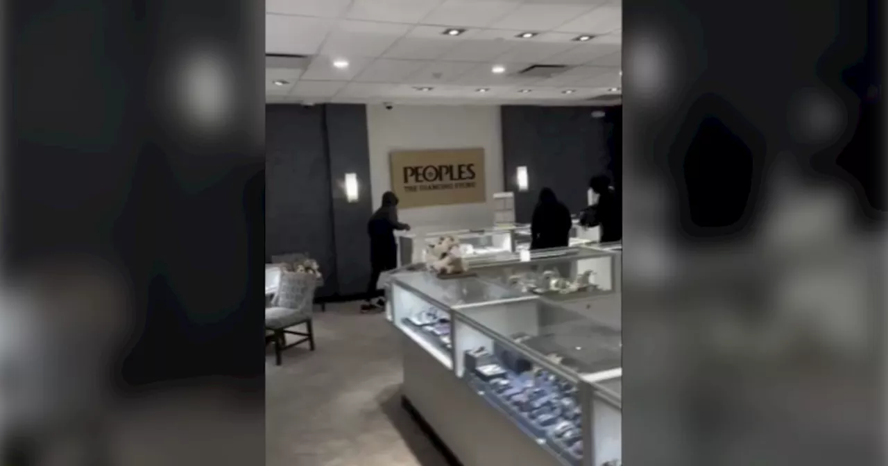 Police Hunt Five Suspects in Brazen Daytime Jewelry Store Heist