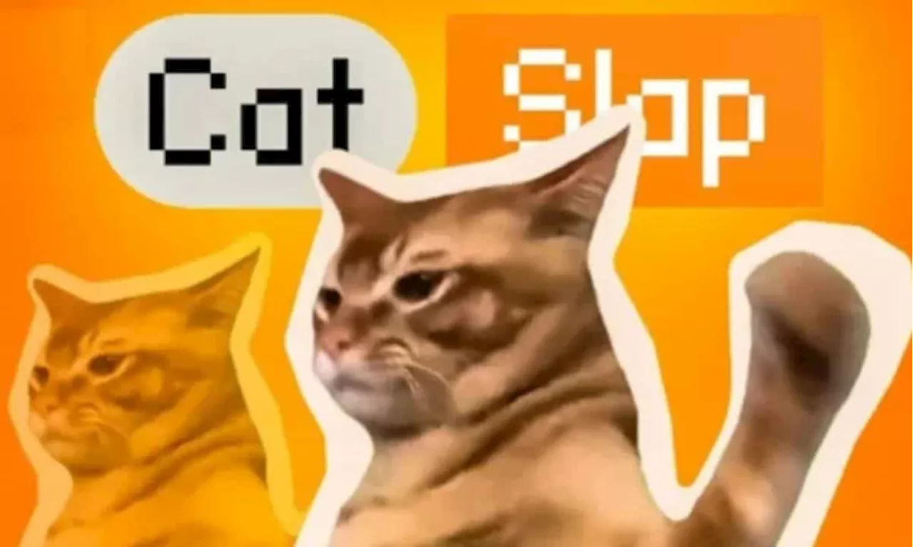 New Meme Coin Catslap Rises 120% as Jump Trading Invests $900K