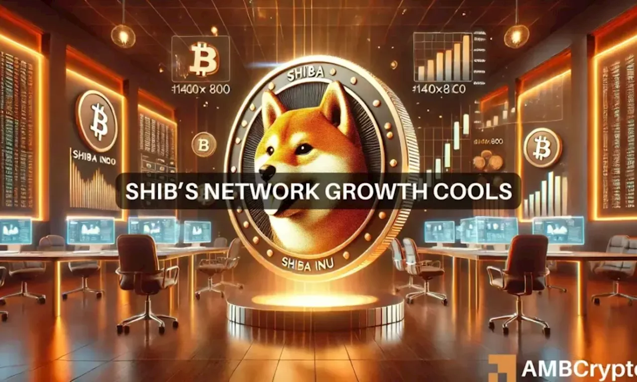 Shiba Inu’s network surges: Sustained growth or temporary hype?