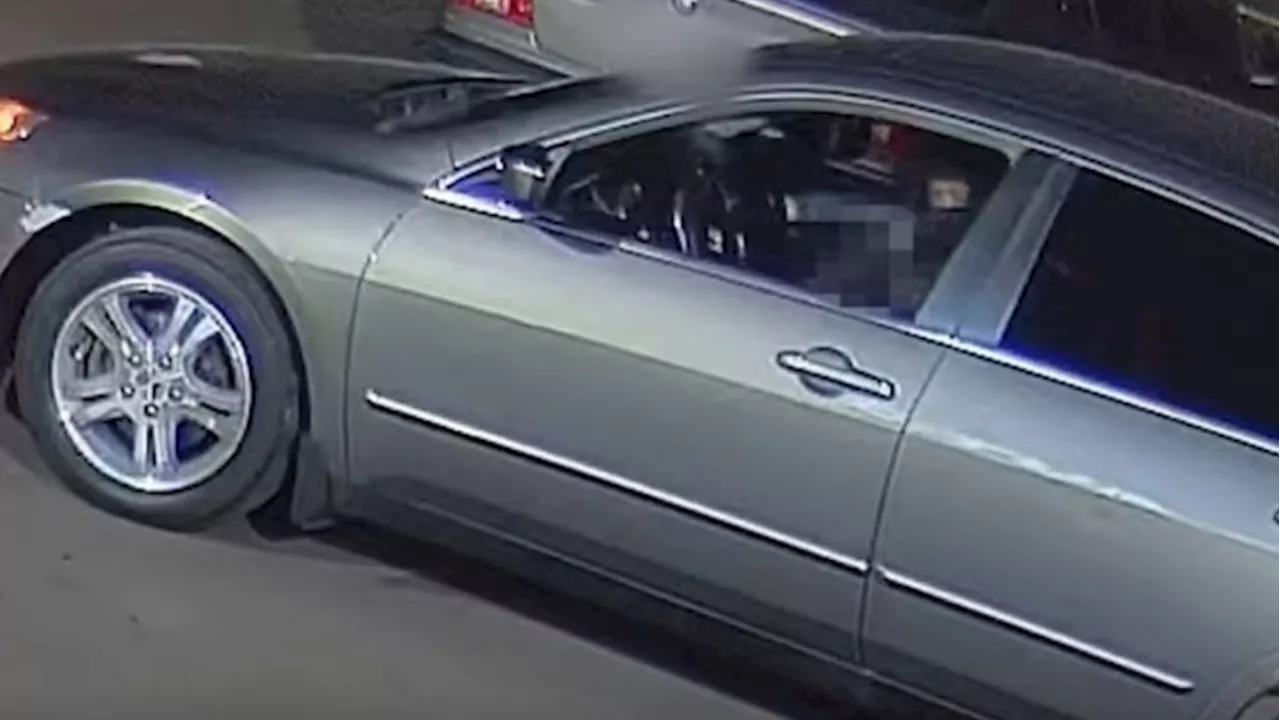 YRP release surveillance video of Markham shooting as they seek suspect