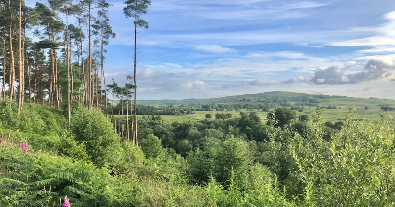 Galloway National Park plan should be put to local referendum, councillors claim