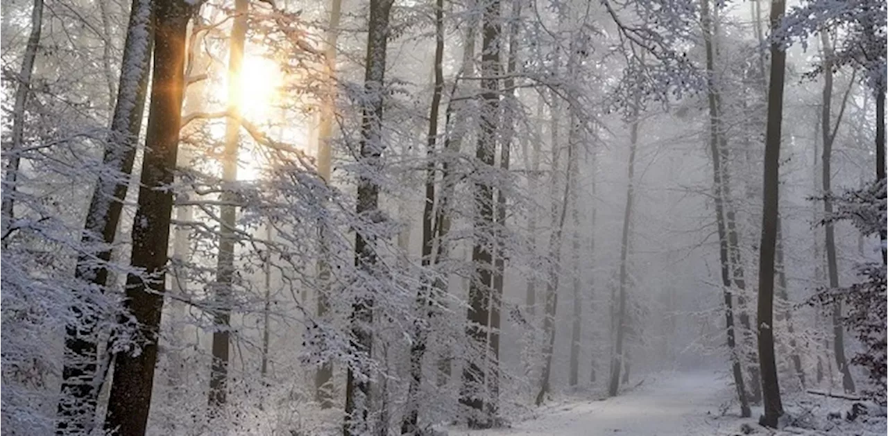 Canada Winter Forecast Predicts Above-Normal Temperatures Amid Rising Climate Change Impact