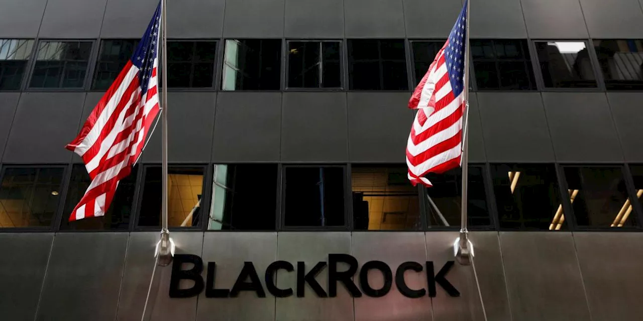 ¿Cuáles son las apuestas de BlackRock para el mercado estadounidense para 2025?