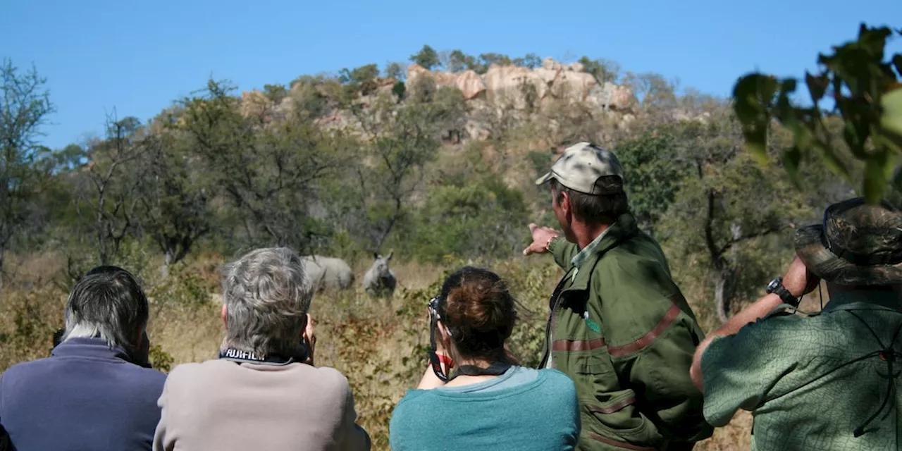 Afrika: Nashorn-Safari zu Fuß in Simbabwe