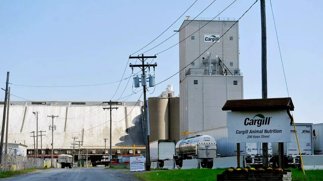 Cargill Lays Off 8,000 Workers Amid Lower Commodity Prices