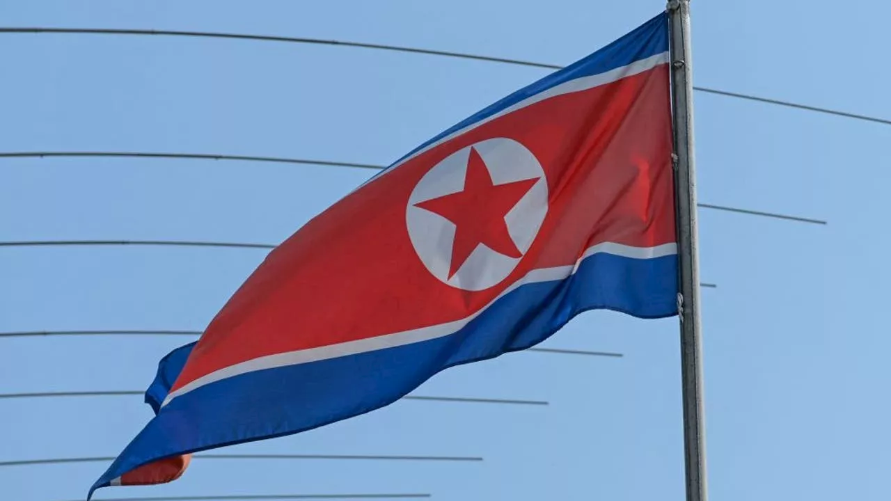 Chinese national allegedly bought guns in Texas, shipped them to North Korea