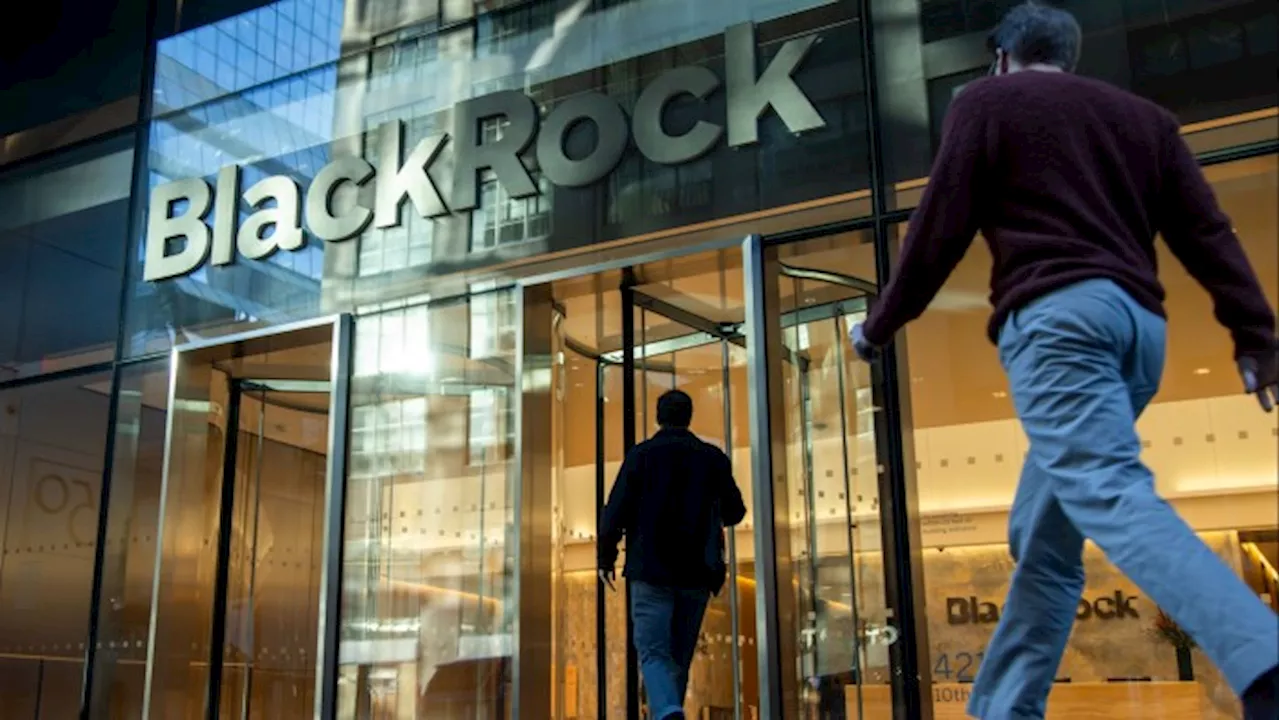 BlackRock has bought into private capital boom at a steep cost