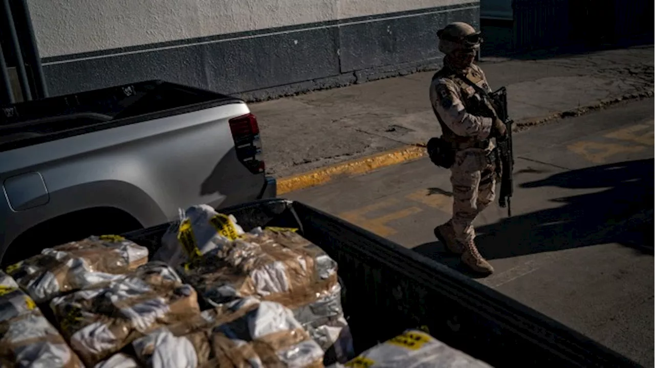 Mexico makes largest fentanyl bust as Donald Trump’s tariff threat looms