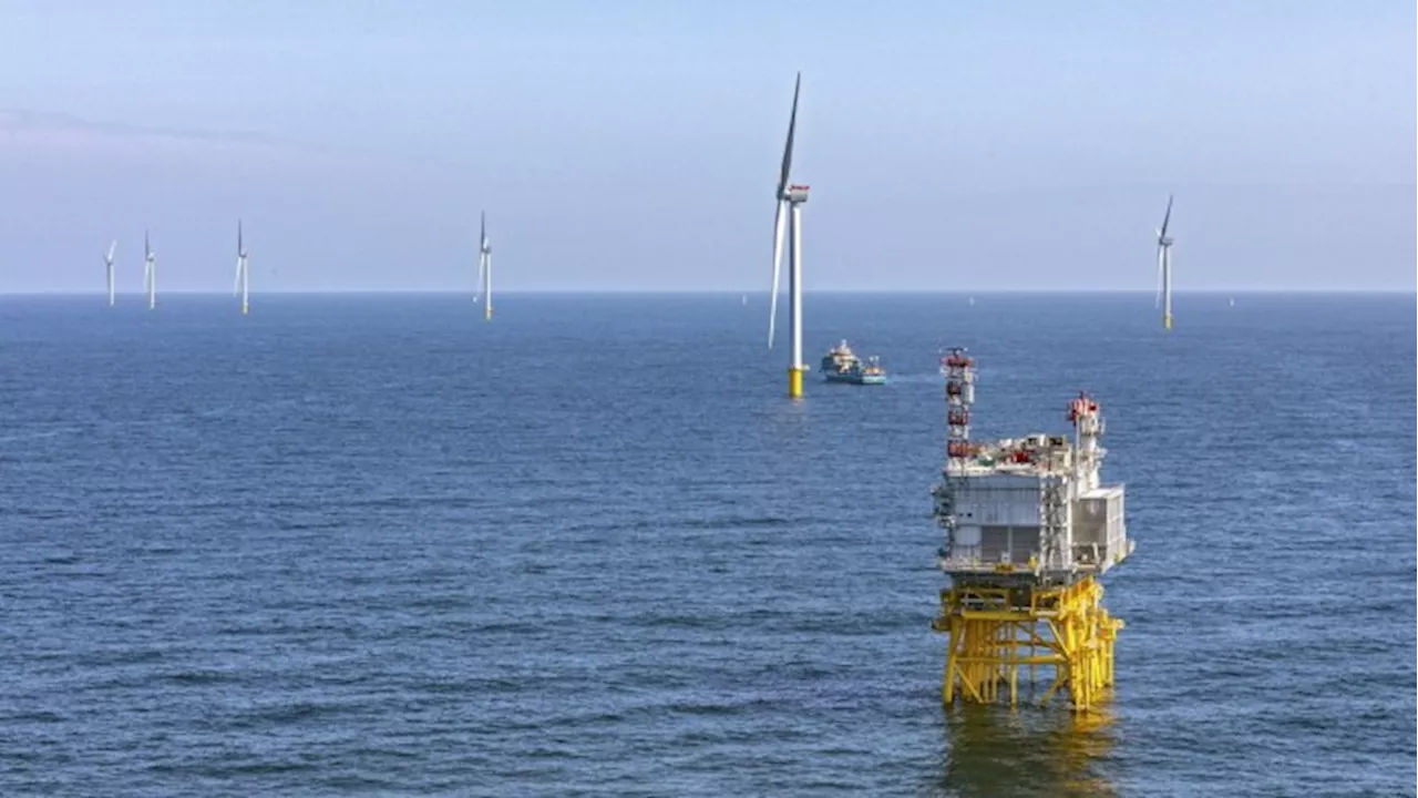 Shell signals no new offshore wind projects