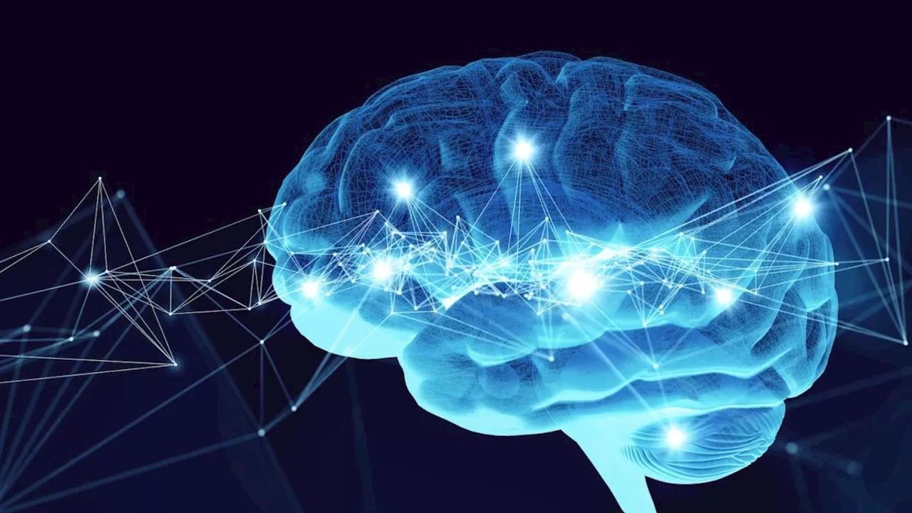 IQ: il quoziente intellettivo serve davvero per capire quanto siamo intelligenti?