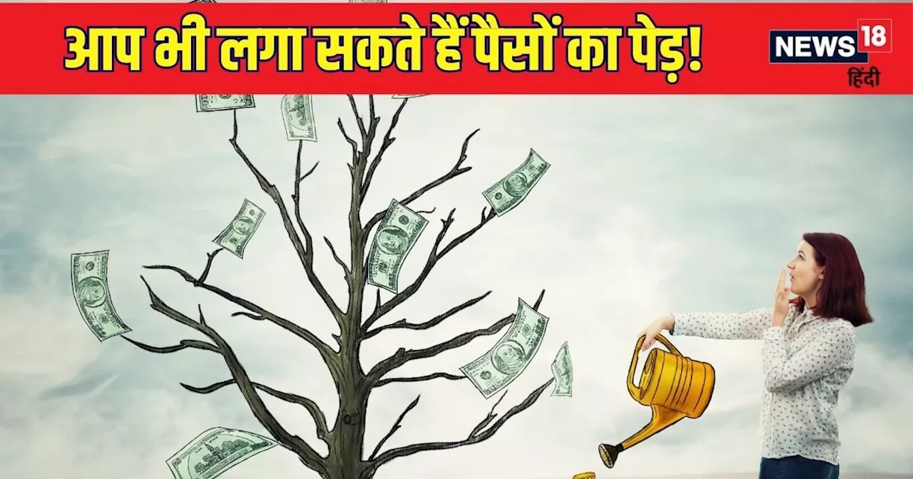 देश में 3 करोड़ लोगों को होगी इस महंगी चीज की जरूरत! कंपनी-बैंक और आम आदमी, सभी के लिए कमाने का मौका