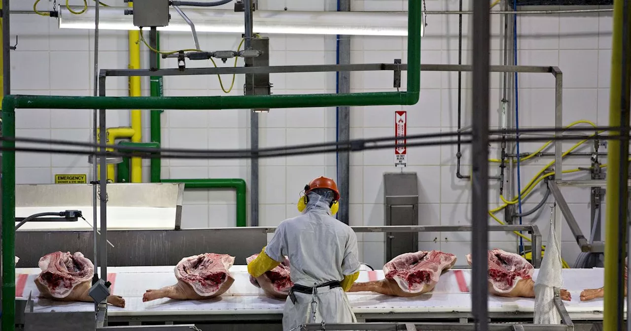 Feds Again Find Child Labor At Iowa Pork Plant, Prompting New Fine