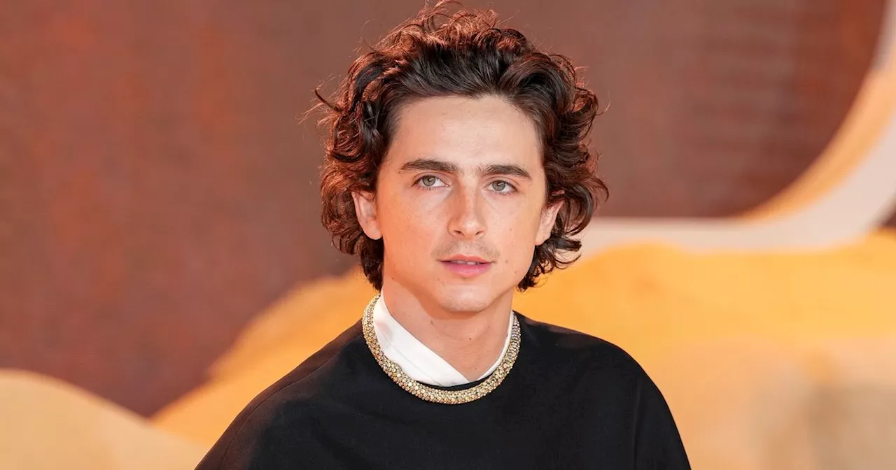 Timothee Chalamet Tried To Pay Look-Alike Contest Organizer's $500 Fine