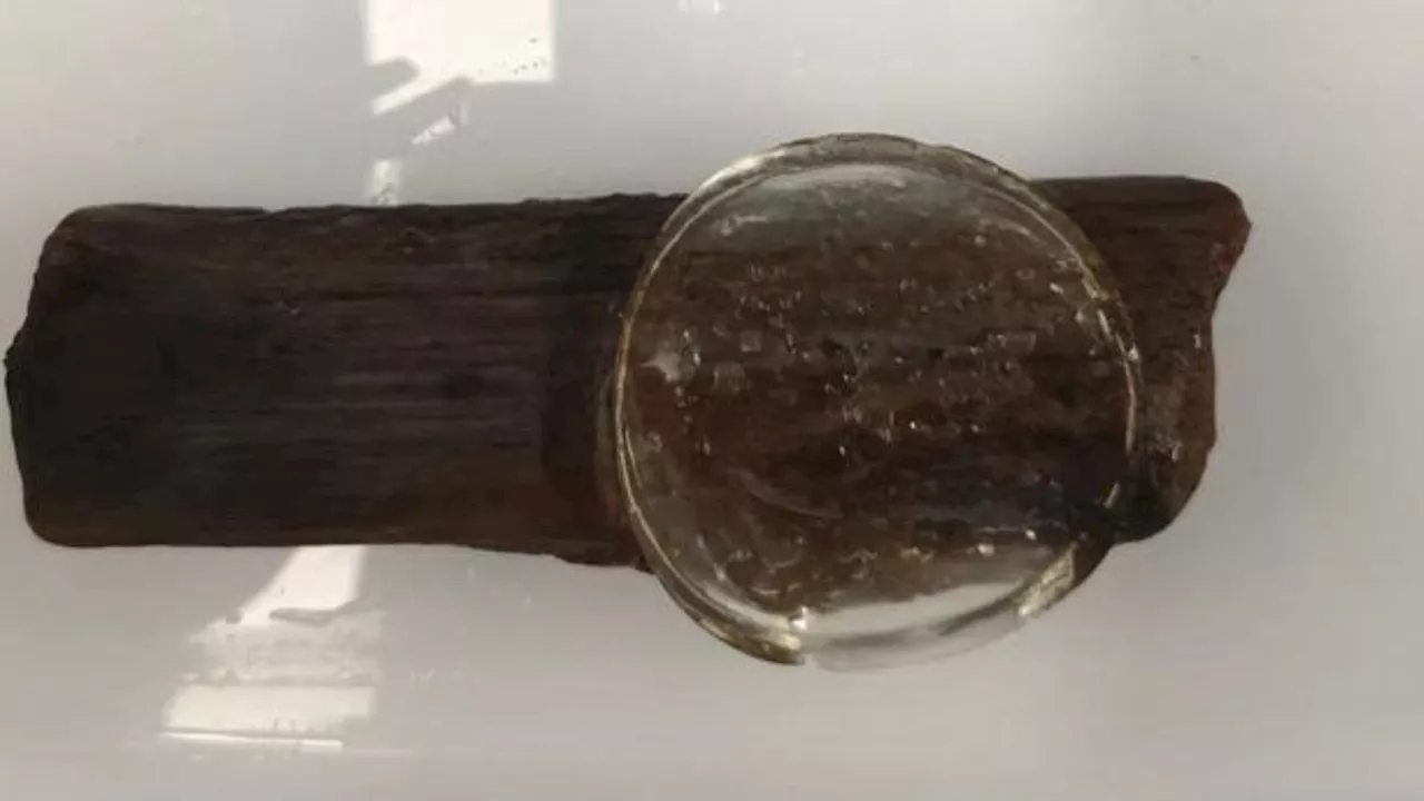 800-year-old shipwreck wood preserved using new hydrogel technology in China