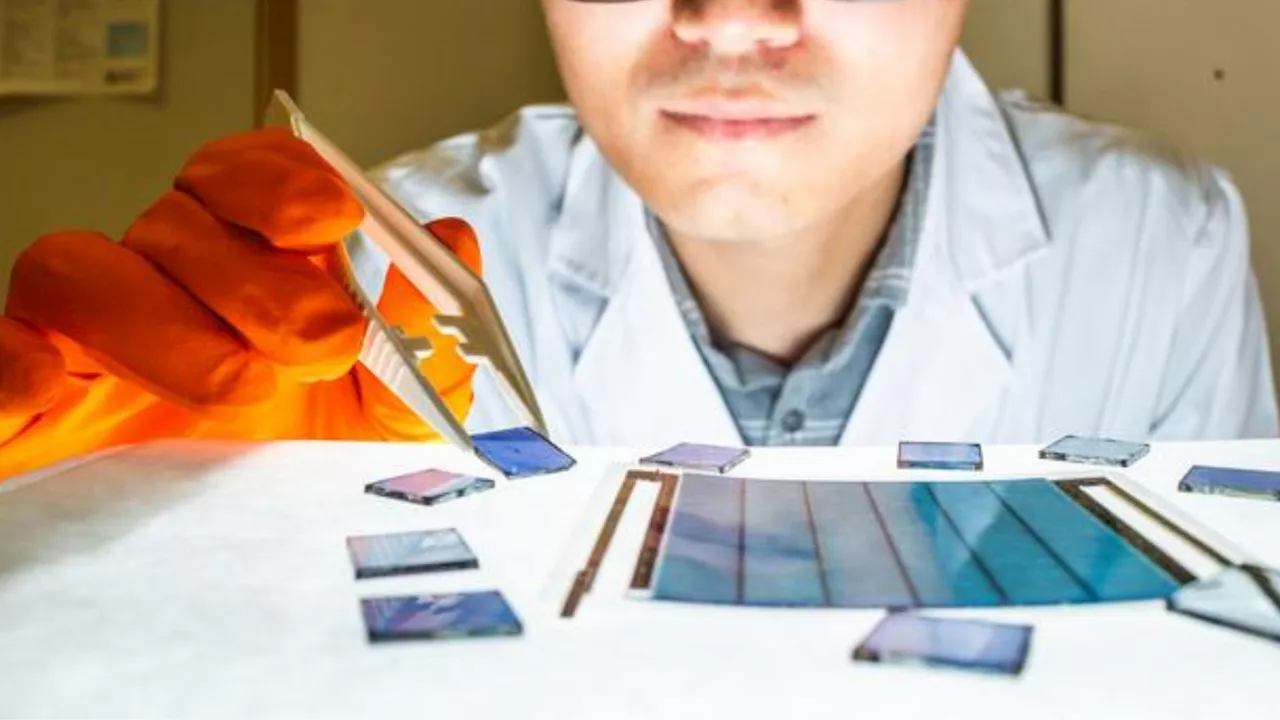 US-China crack organic solar cell code to hit toxin-free 20% power efficiency