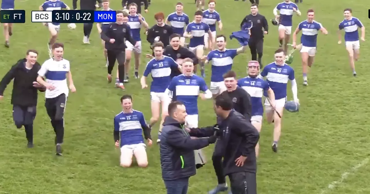 Irish sporting legend mobbed by school kids after incredible success