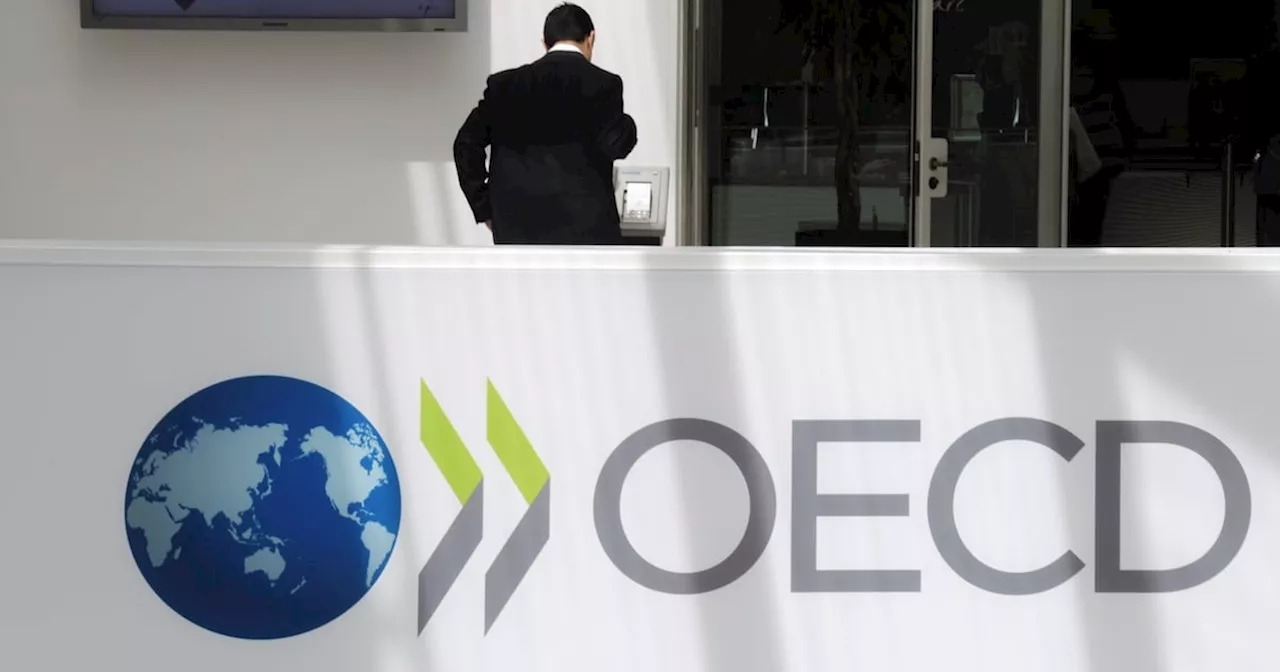 OECD warns Ireland that investment projects need to be ‘carefully sequenced’