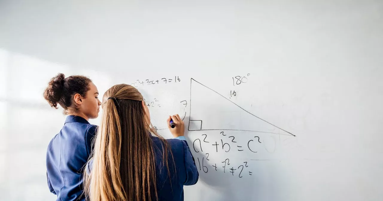 Pupils in Ireland Among Top Maths Performers in Europe