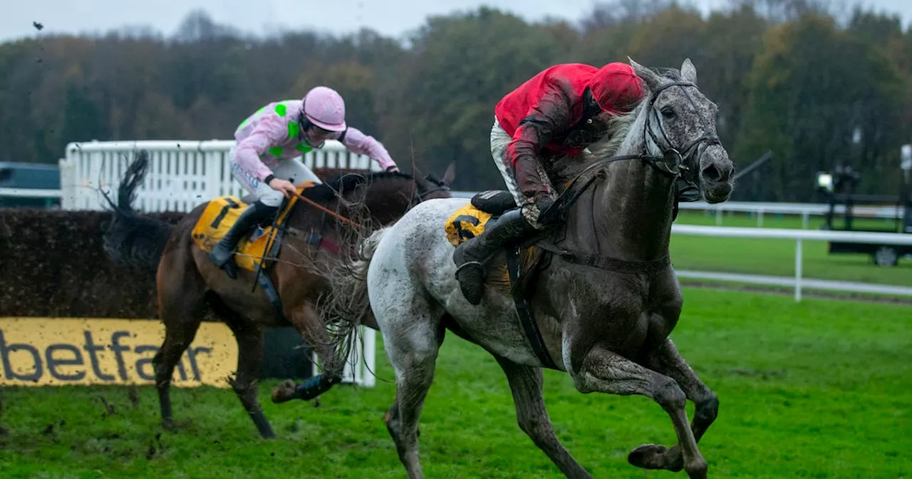 Trainer Dan Skelton admits Grey Dawning is thriving and on course for King George