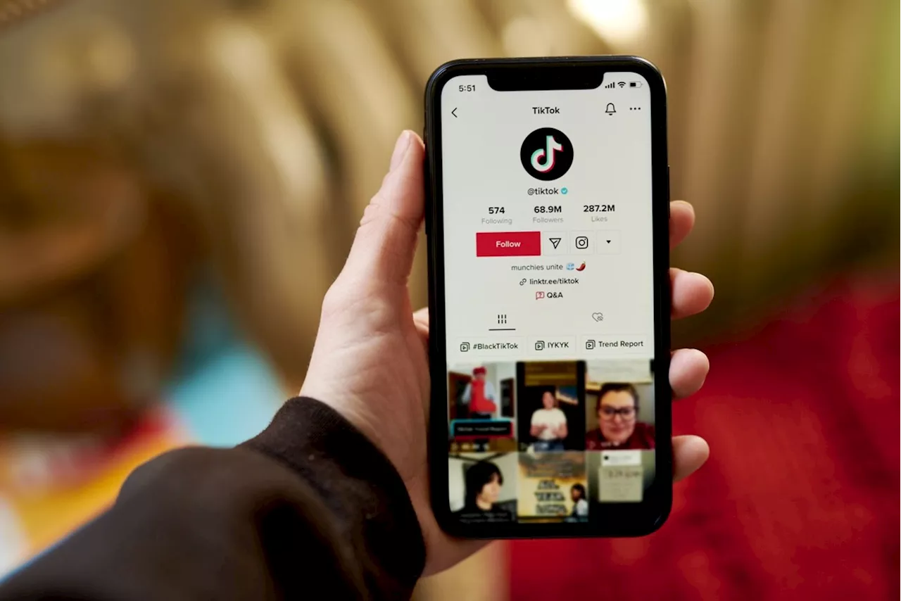 TikTok ultrapassa US$ 100 milhões em vendas na Black Friday