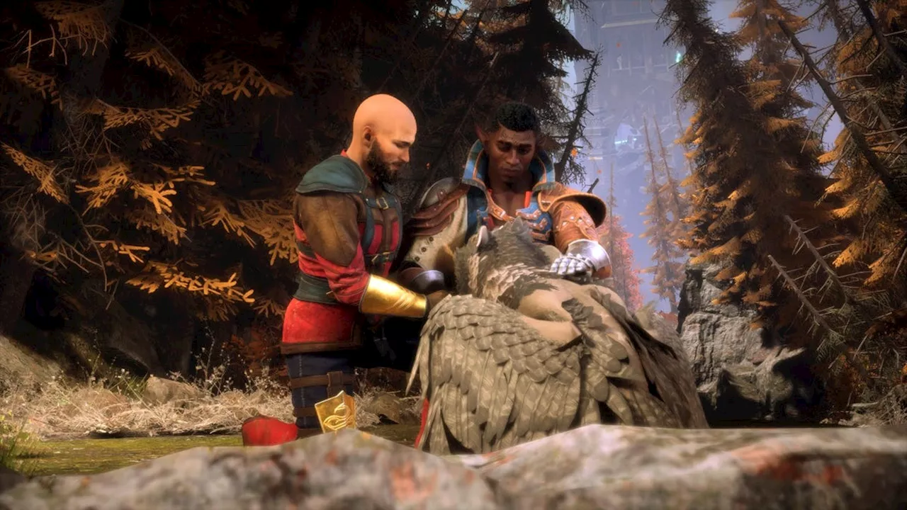 Dragon Age Day Celebrates Players' Choices in The Veilguard