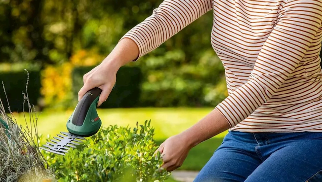 Bon plan jardin : la cisaille Bosch est actuellement en vente à 20 % de rabais chez Amazon