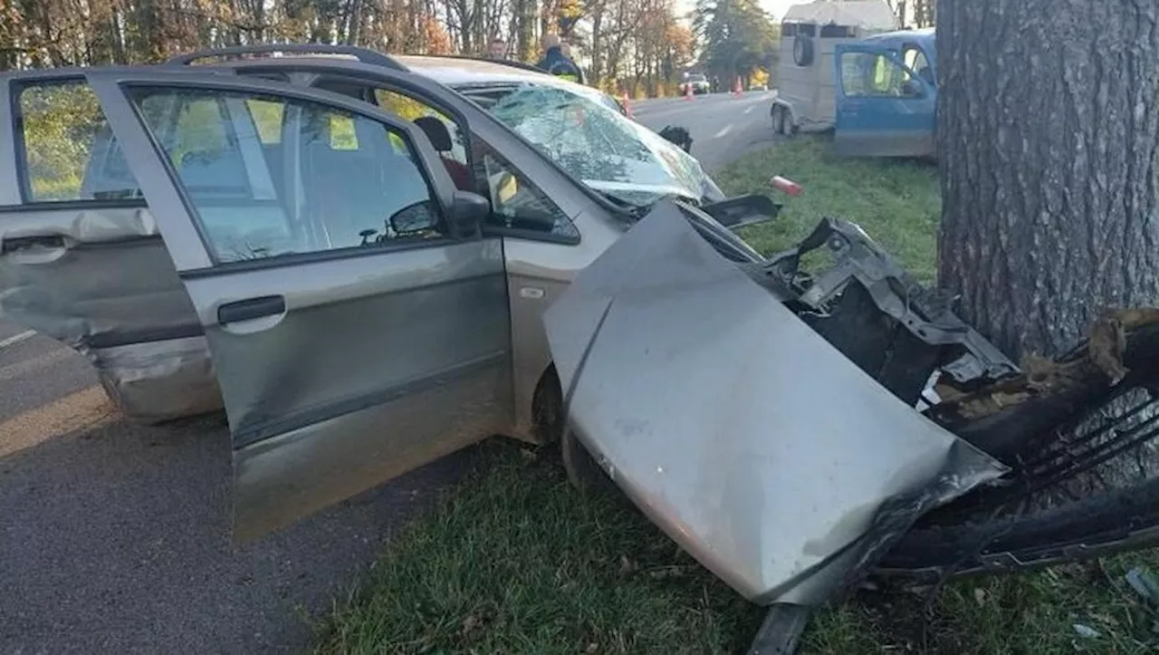 Tragique collision : un automobiliste décède après avoir percuté un arbre