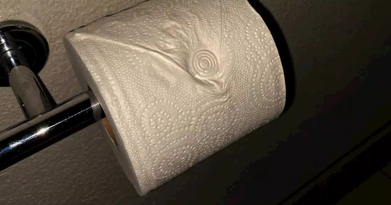 El truco viral para que el papel higiénico parezca siempre nuevo y elegante | Viral