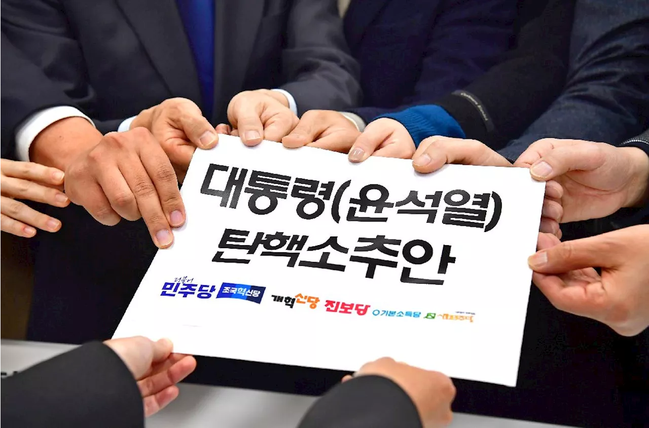 윤석열 대통령 비상계엄 선포, 헌법 위반 지적