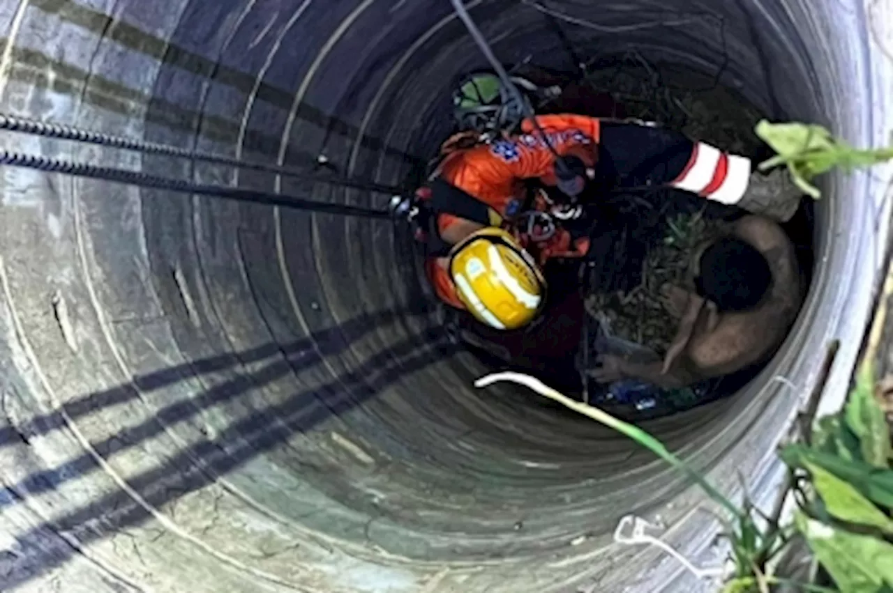 Chinese Man Mistaken for Ghost Spends Three Days Trapped in Abandoned Well in Thailand