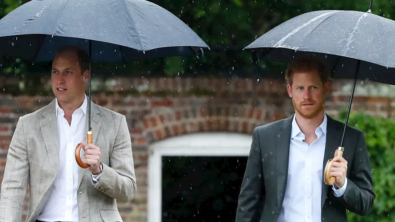 Prince Harry and Prince William Avoid a Joint Appearance With Separate Diana Award Tributes