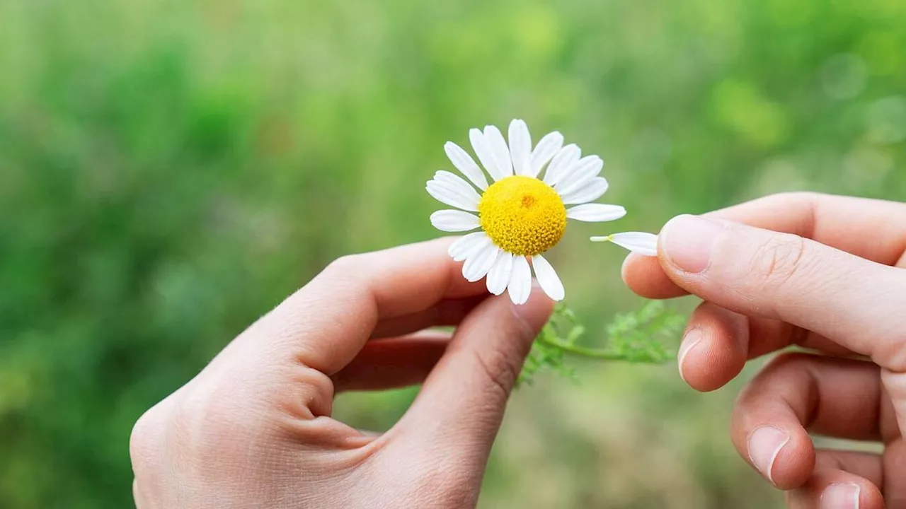 Astrologia: m'ama o non m'ama, può dirmelo l'Oroscopo?