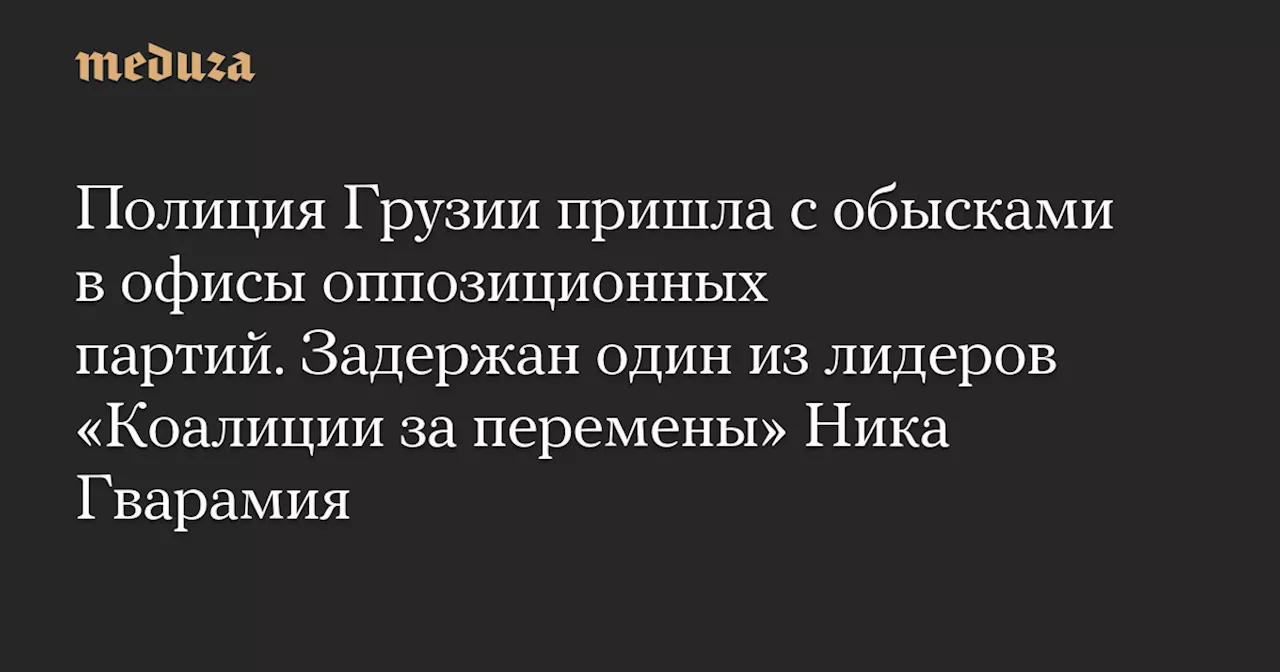 Полицейские обыски и задержания в офисах оппозиционных партий Грузии