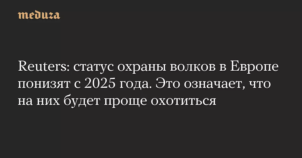 Страны ЕС понизили охрану волков из-за роста популяции