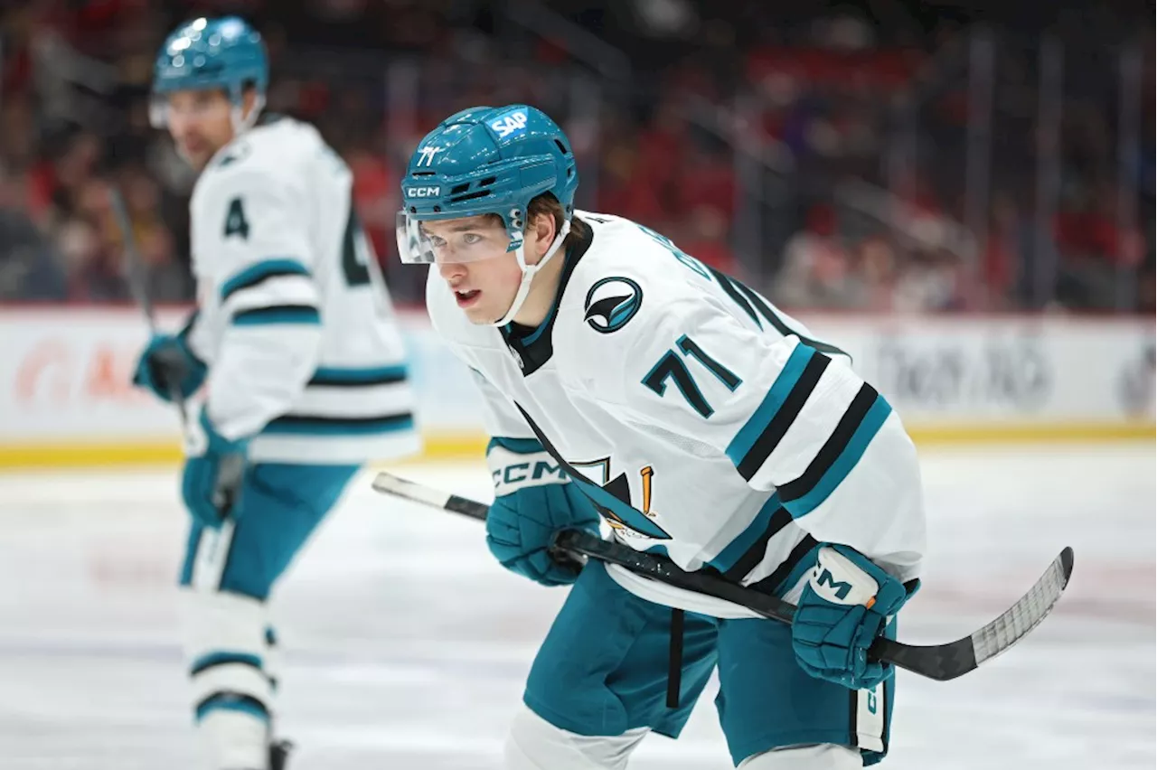 Are the San Jose Sharks for real? Three reasons for recent surge