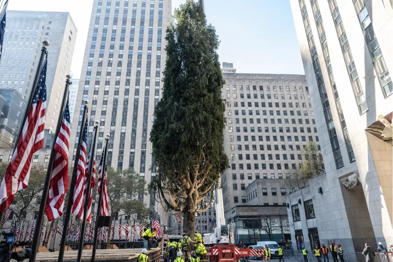 Everything you need to know about the 2024 Rockefeller Center tree lighting ceremony