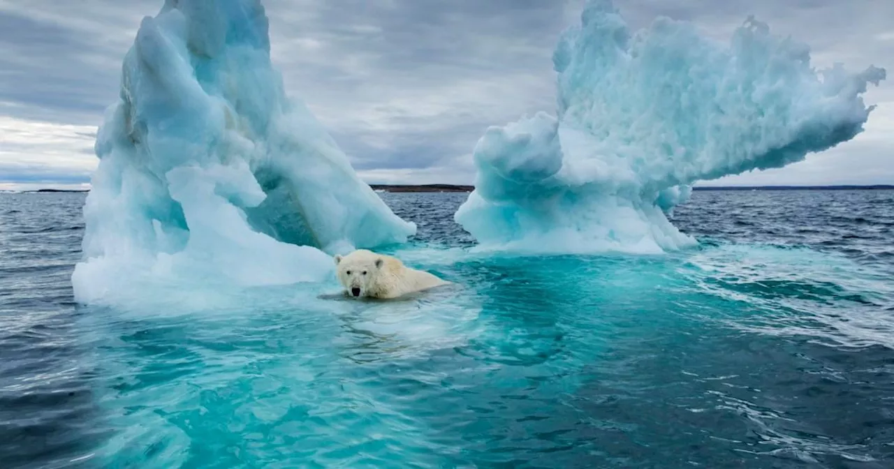 Ominous milestone in the Arctic which could happen by 2027