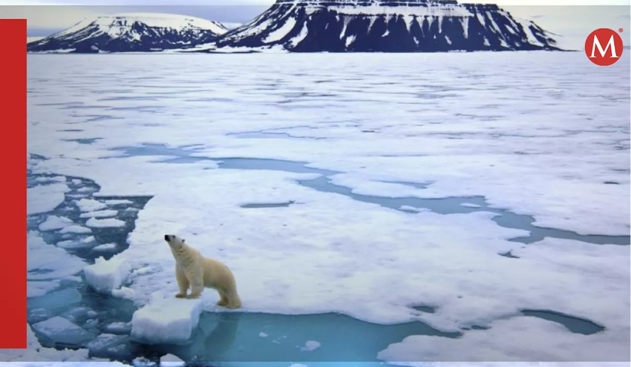 Nuevo estudio anticipa que el primer día del Ártico libre de hielo podría ser en 2027