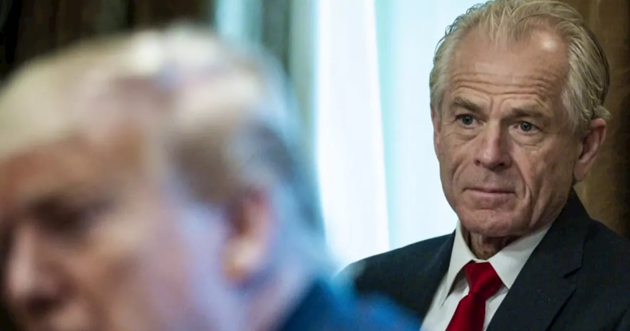 Trump picks Peter Navarro to serve as a top trade adviser