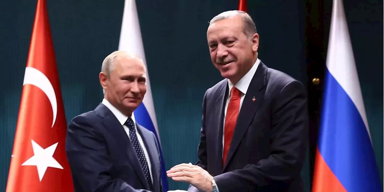 Putin und Erdogan besprechen Lage in Syrien